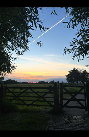 Photo 6- click for photo gallery